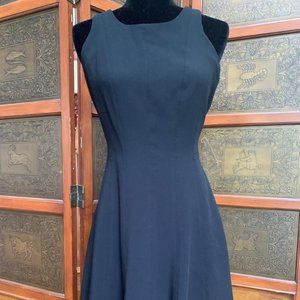 Banana Republic Black Panel Fit and Flare Dress